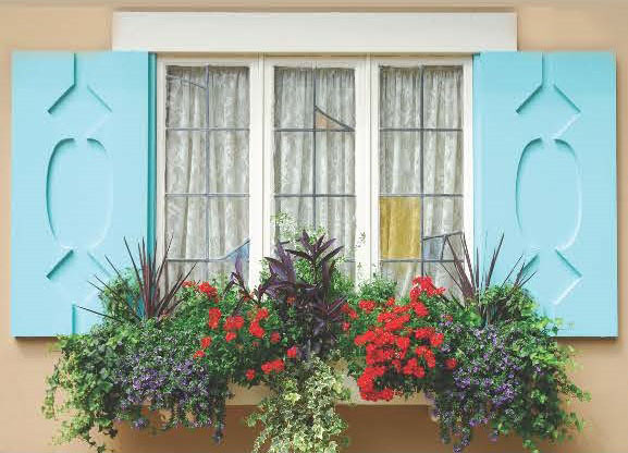 Tips When Painting Shutters